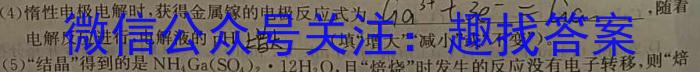 2024届高三4月大联考考后强化卷数学