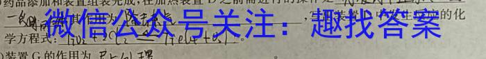 陕西省2024年九年级仿真模拟示范卷(SX)(六)化学