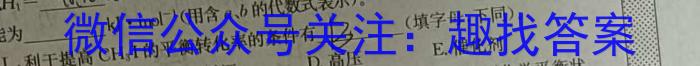 q安徽省界首市2023-2024学年度（上）期末学业结果诊断性评价化学