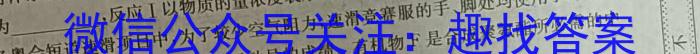 安徽省2024届九年级第二次模拟考试数学