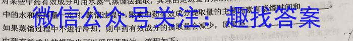 广西2024年春季期高三5月(2024.5.21)联考试卷数学