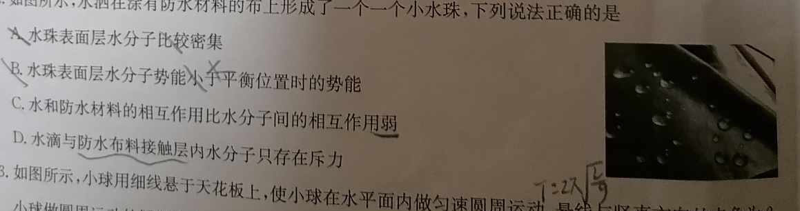 [今日更新]抚州市2023-2024学年度上学期高一学生学业质量监测.物理试卷答案