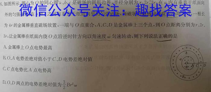 河南省周口市2024-2025学年第一学期九年级月考（二）物理试题答案