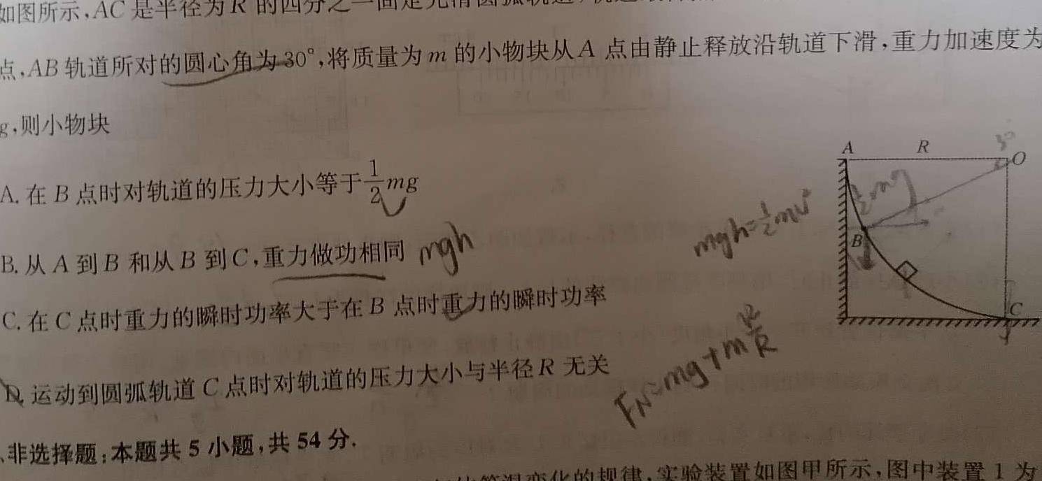 [今日更新]河北省沧州市2024届普通高中高三总复习质量监测.物理试卷答案