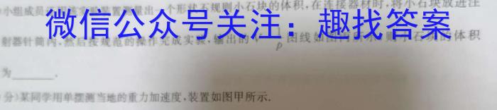 福建省漳州市2023-2024学年(上)高二期末高中教学质量检测物理试卷答案