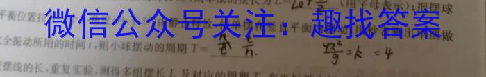 陕西省咸阳市2023-2024学年度高一第一学期期末教学质量检测物理试卷答案