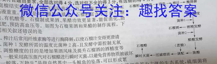 2024年春季鄂东南省级示范高中教育教学改革联盟学校高三期中联考数学