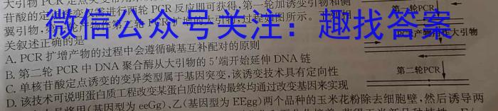 2024届陕西省七年级学业水平质量监测(菱形)数学