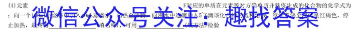 q河北省2024年中考模拟试卷(夺冠型)化学