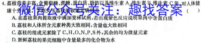 2024届陕西省高三联考(3.28)数学