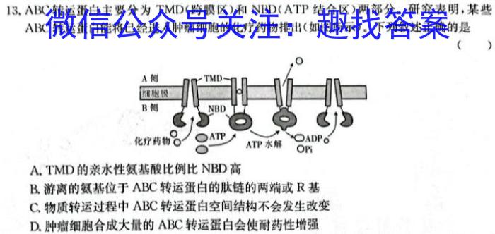 江西省抚州市2023-2024学年度九年级上学期1月期末考试生物学试题答案