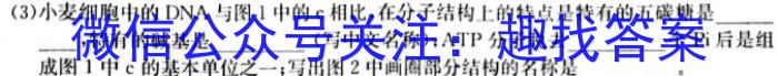 江西省上饶市广丰区2024届九年级上学期1月期末考试生物学试题答案
