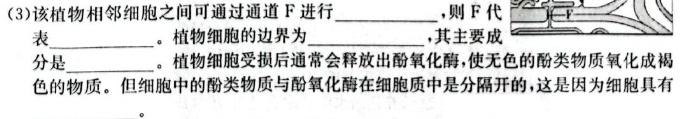 安徽省芜湖市2024年九年级毕业暨升学模拟考试(三)3生物