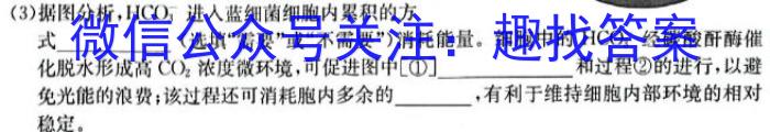 2023-2024学年度湘楚名校高二下学期3月联考(9151B)数学