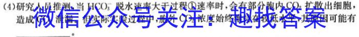 2024年河北省初中毕业生升学文化课模拟考试(导向二)数学