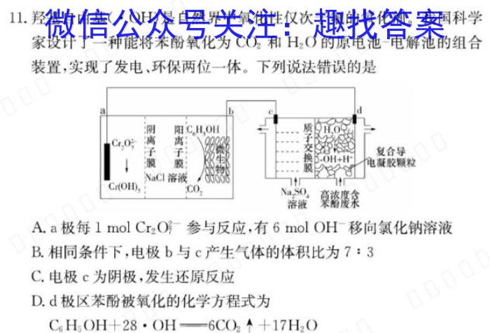 2024届陕西省九年级中考模拟检测(24-CZ152c)化学