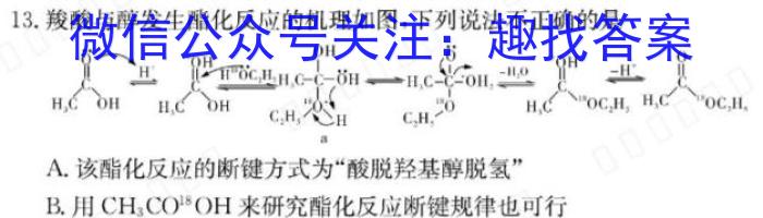 河南省2024年中考导航冲刺押题卷(十)数学