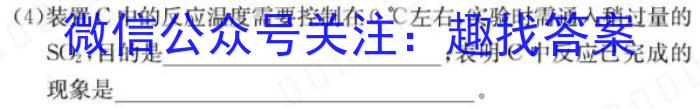 河南省2024届高三年级TOP二十名校质检一数学