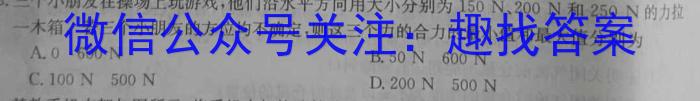 2025届高三第一学期9月质量检测物理试卷答案