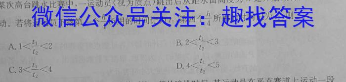 陕西省陈仓区2023-2024学年第二学期九年级摸底考试物理`