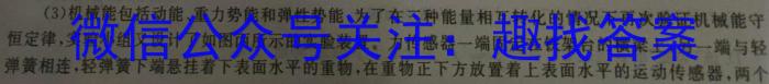 衡水金卷先享题月考卷 2023-2024学年度上学期高三期末考试物理试卷答案