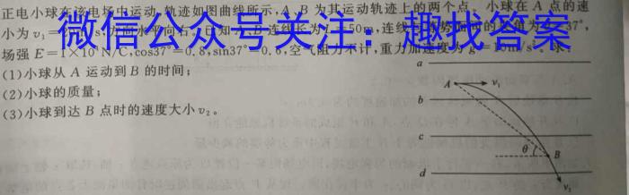 江西省修水县2024年九年级学考第一次模拟考试物理