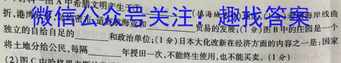 2024年普通高等学校招生全国统一考试样卷(九)9历史试卷答案