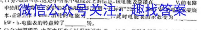 安徽省2024届九年级中考规范总复习（一）物理