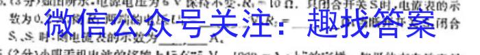 山西省2024年初中学业水平综合测试题物理`