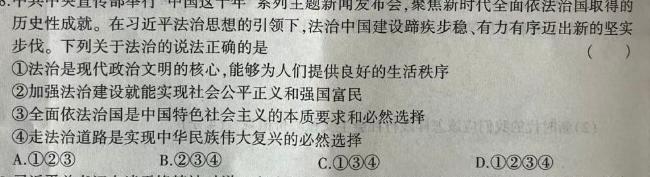 【精品】安徽省合肥市庐江县2023-2024学年度第二学期八年级期中练习思想政治