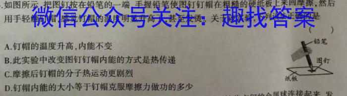 天一大联考 海南省2023-2024学年高二年级学业水平诊断(二)2物理试题答案