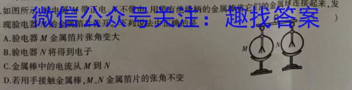 炎德英才大联考 2024年长郡中学2023级高二上学期模块测试物理试题答案