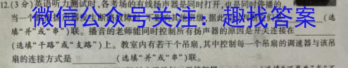 2023-2024学年高三试卷3月百万联考(卫星)物理试卷答案