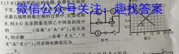 河南省濮阳市2023-2024学年第二学期八年级期末考试试卷物理试卷答案