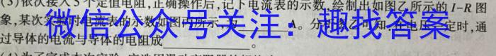 河南省宁陵县2023-2024学年度九年级上学期期末考试l物理