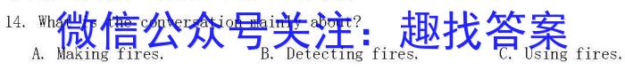 安徽省2023-2024学年度九年级上学期阶段性练习（四）英语试卷答案