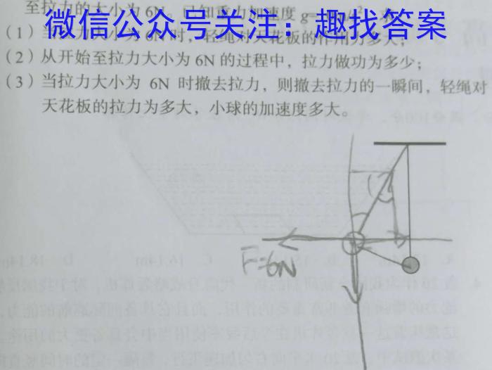 嫩江市高级中学2024级高一开学考试（8月）物理试卷答案