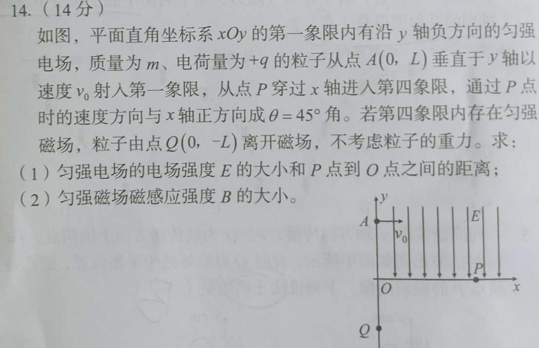 [今日更新]江西省南康区2023-2024学年度九年级摸底考试.物理试卷答案