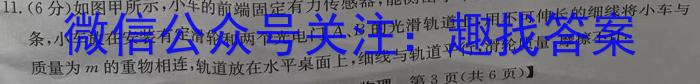 2024年河北省初中毕业生升学文化课考试黑白卷物理`