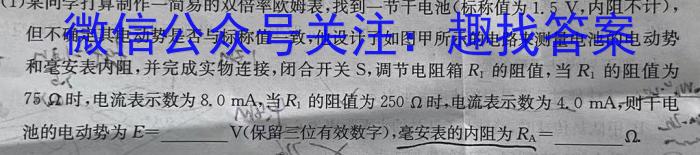 安徽省2024年九年级质量调研检测（二）h物理