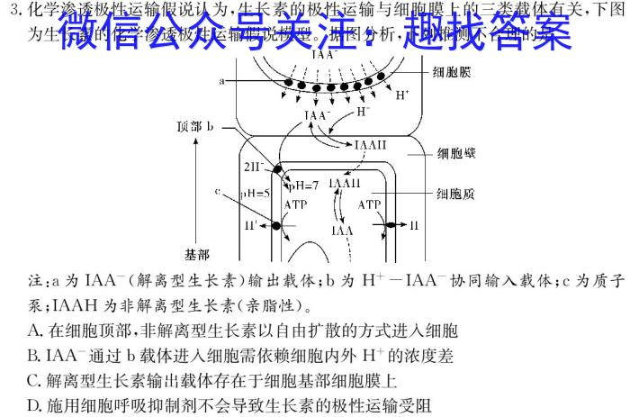 银川一中2025届高三年级八月开学复习巩固测试卷数学