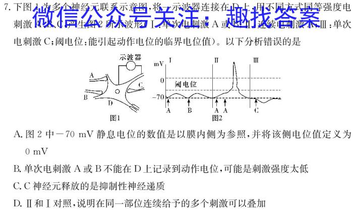 湖北省2024年春"荆、荆、襄、宜四地七校考试联盟"高二期中联考生物学试题答案