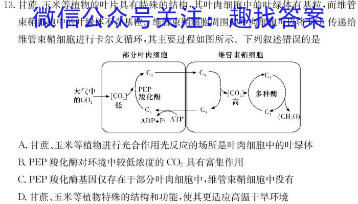 2023-2024学年高三试卷3月百万联考(卫星)数学