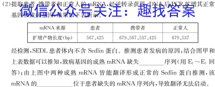 鼎成大联考2024年河南省普通高中招生考试试卷(三)数学