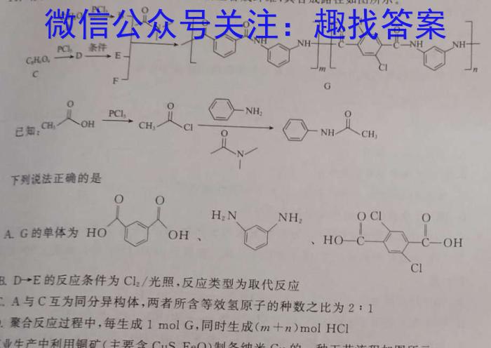 2024年陕西省初中学业水平考试全真模拟卷（八）化学