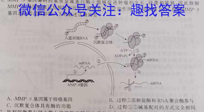 山西省2024年中考模拟示范卷（四）数学