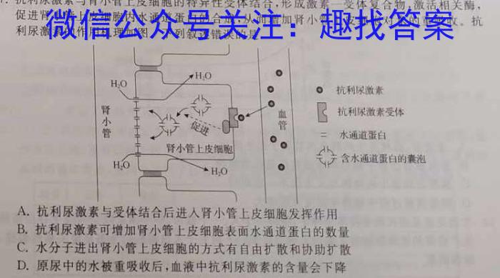 2023-2024学年山西省高一试题1月联考(24-302A)生物学试题答案