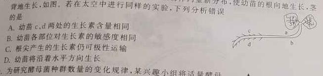 2024年河南省普通高中招生考试试卷（适应卷）生物学