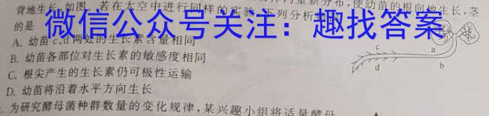 湖南省2024届高三3月联考数学