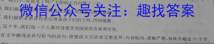 湖南省2023-2024学年第二学期高一年级期末考试语文